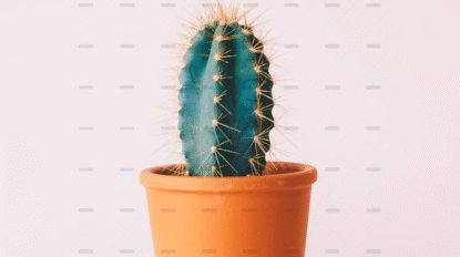 demo-attachment-2914-annie-spratt-fbAnIjhrOL4-unsplash-min