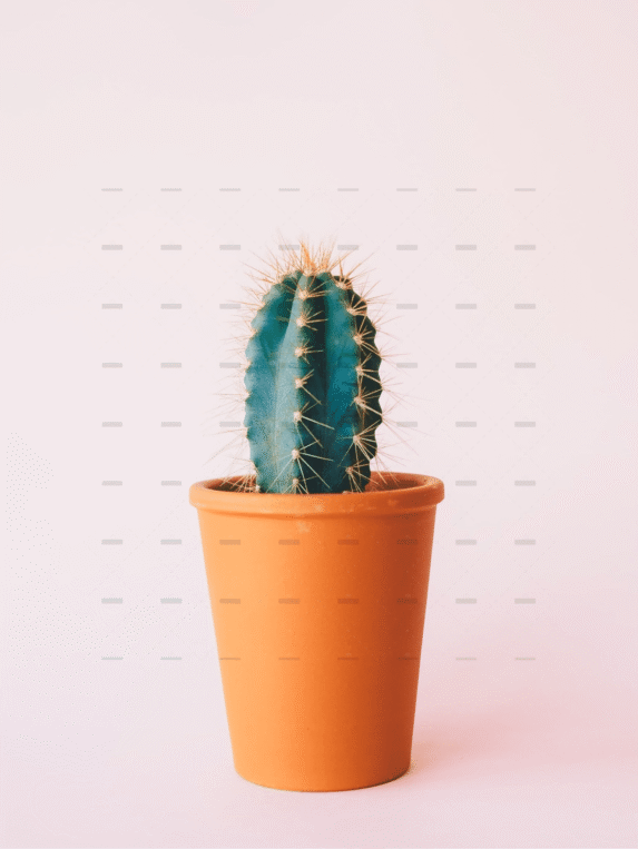 demo-attachment-2914-annie-spratt-fbAnIjhrOL4-unsplash-min