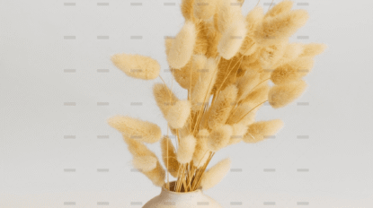 demo-attachment-2911-pexels-artem-podrez-4612458-min